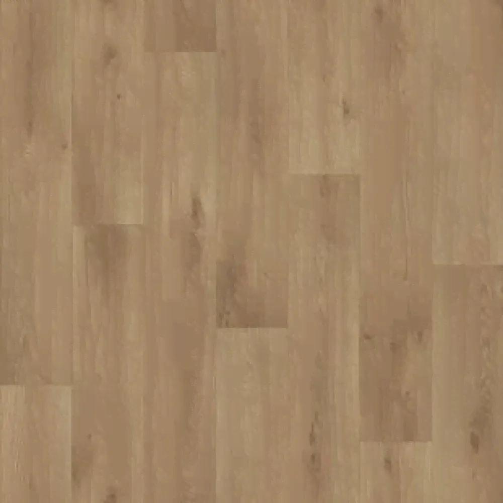 Линолеум TARKETT ACCZENT PRO - Samson 1 T029290-0