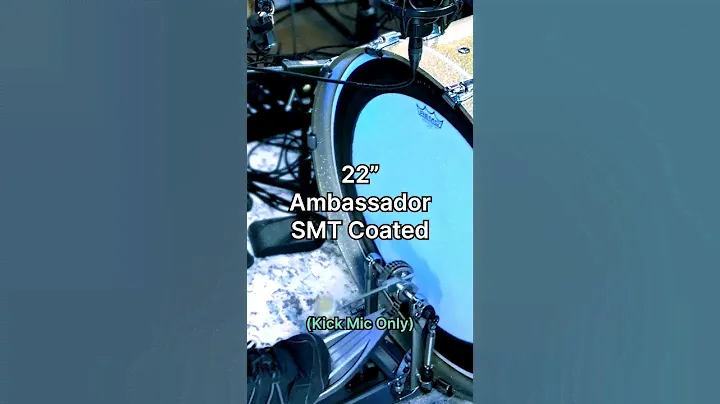 Ambassador SMT Coated vs. Emperor SMT Coated Bass Drumhead #drums #drummer #music