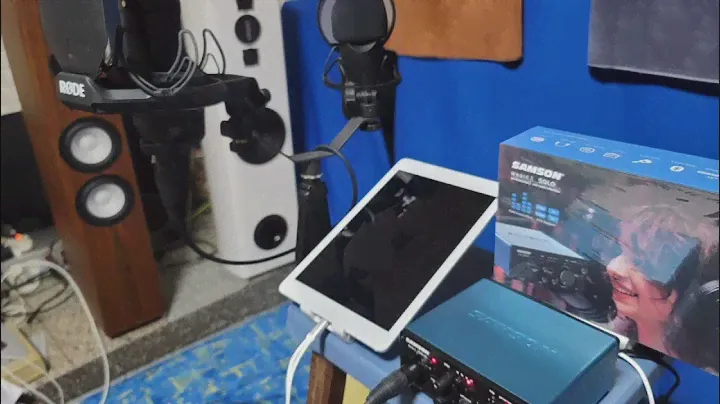 [翻唱]隨你 張雨生 Rode NT1 + Samson Magic Solo
