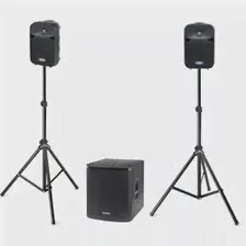 Акустическая система SAMSON Auro D1228 цена, купить в Москве, отзывы, характеристики, обзор