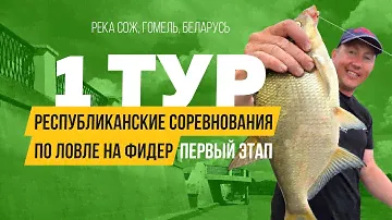 Первый тур. Белорусские Республиканские соревнования 2024, первый этап