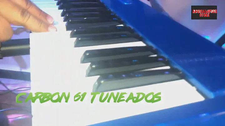 Samson Carbon 61 Tuneado Aguisamples Store
