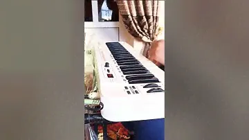 Samson carbon midi keyboard