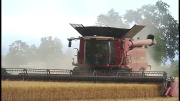 **Big Harvest** Case-Ih 7240 AxialFlow | Header 3050 Varifeed 10,60 mt