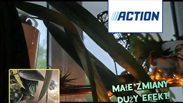 Action uratował mi dzień🌞małe zmiany duży efekt