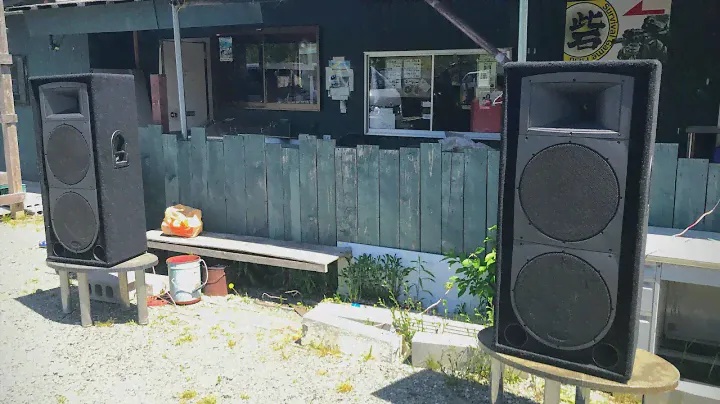 SAMSON RS215+SAMSON SERVO 300 Play Hardstyle