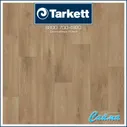 Линолеум Tarkett ACCZENT PRO Samson.1 (Самсон)